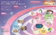占いの世界 改訂版 13号