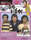 昭和傑作テレビドラマDVDコレクション 39号