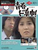 昭和傑作テレビドラマDVDコレクション 40号