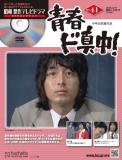 昭和傑作テレビドラマDVDコレクション 41号