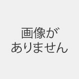 ディズニー ミニブック・コレクション 16号